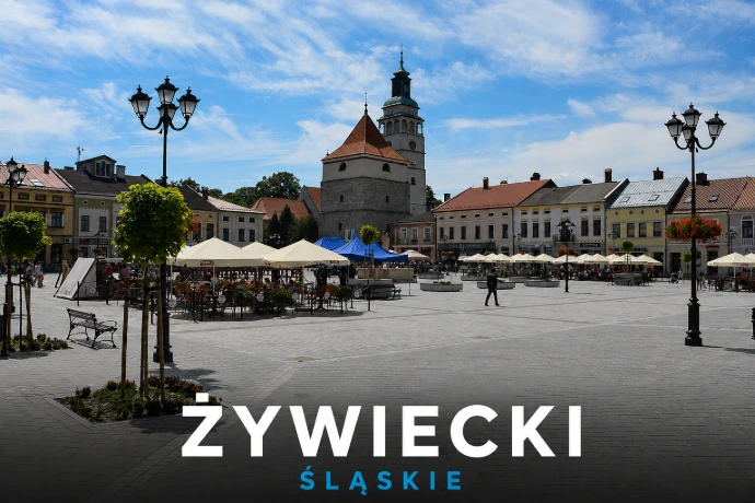 p. żywiecki Lokalne portale