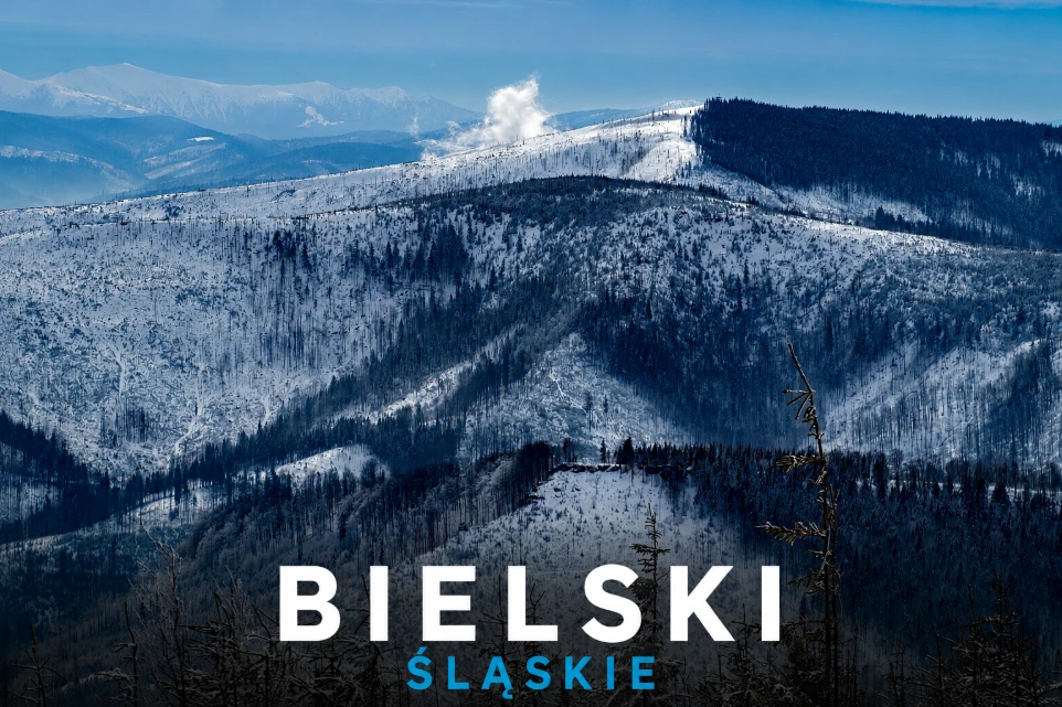 p. bielski START