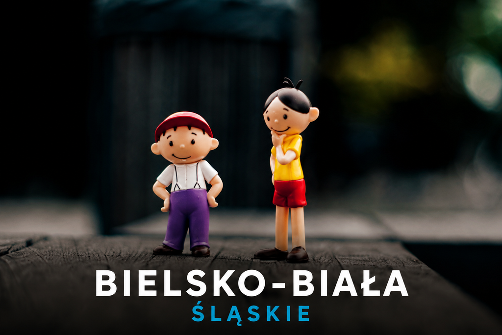 Grupy przedsiębiorców w Bielsku-Białej